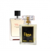 Contratipo Inspirado em Terre d’Hermès (Hermès) - L´âme 85
