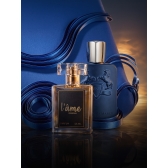 PERFUME CONTRATIPO INSPIRADO EM LAYTON (PARFUMS DE MARLY)