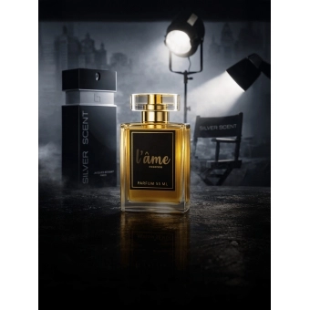 Contratipo Inspirado em Silver Scent (Jacques Bogart) - L´âme 22