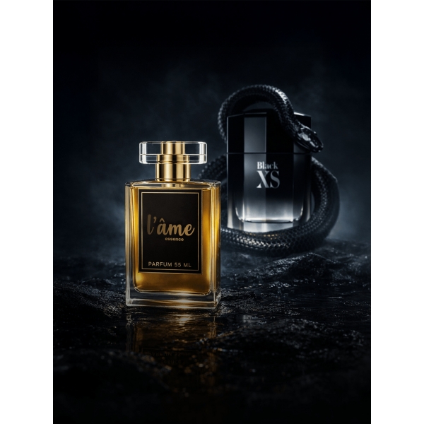 Contratipo Inspirado em Black XS (Paco Rabanne) - L´âme 29